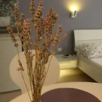 Studio Lavender * Split