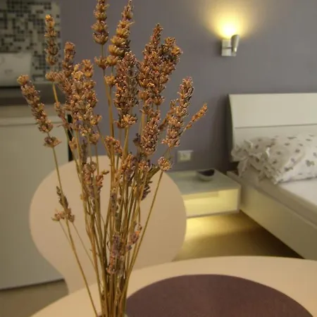 Studio Lavender * Split