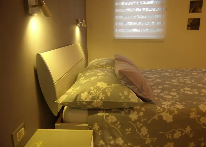 Studio Lavender Split